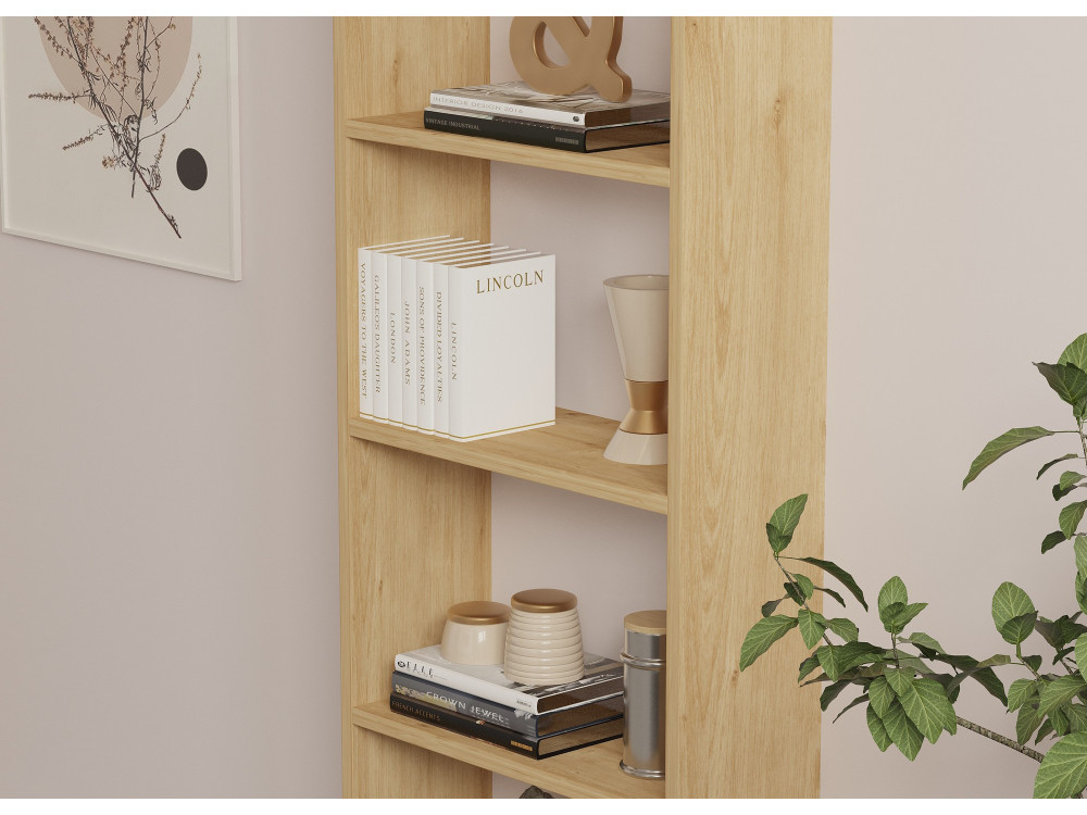 Bücherregal aus Holz "New" - 50 x 19 x 160 cm - Eiche