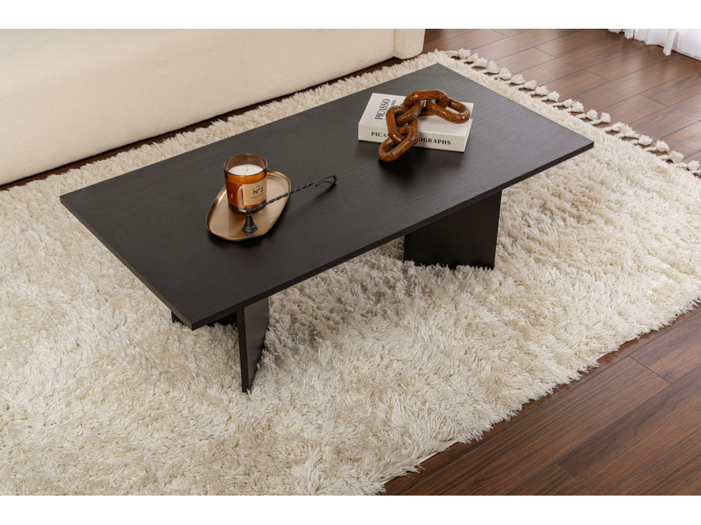 Couchtisch aus Holz „Sabin“ – 60 x 119 x 40 cm – Schwarzes Holz