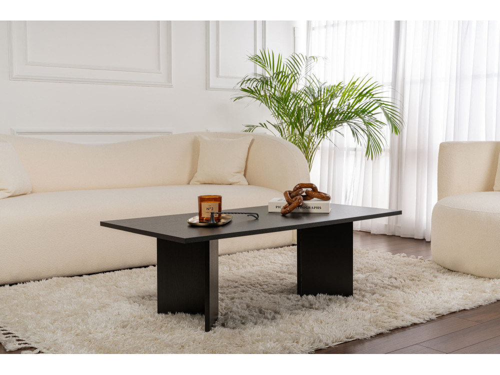 Couchtisch aus Holz „Sabin“ – 60 x 119 x 40 cm – Schwarzes Holz