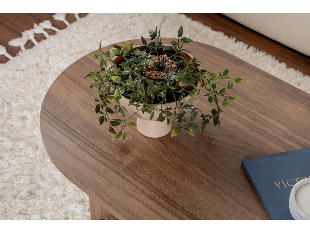 Couchtisch aus Holz „Sable“ – 60 x 119 x 40 cm – Nussbaum