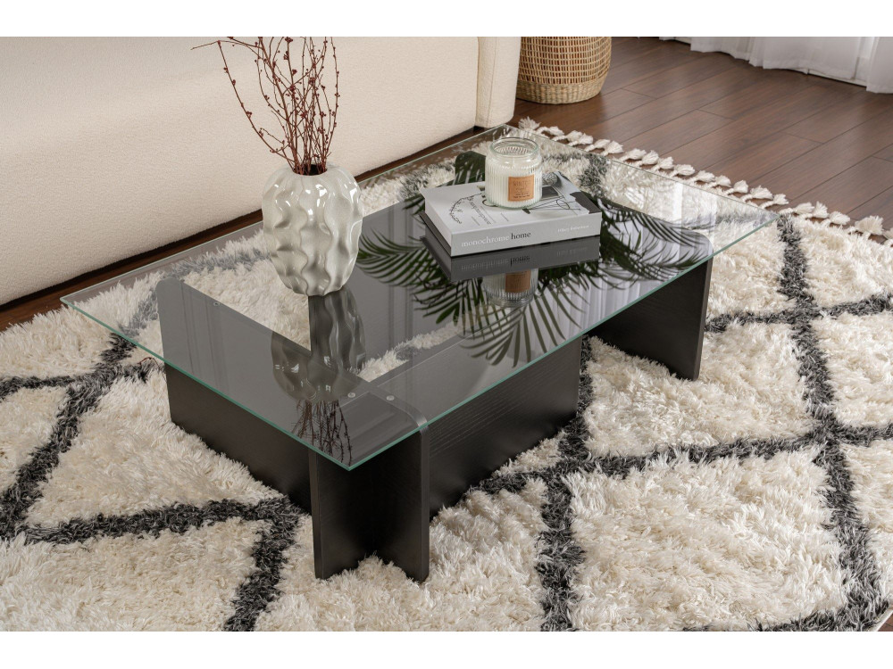 Couchtisch aus Glas "Flavio" 105 x 65 x 30 cm - Holz Schwarz