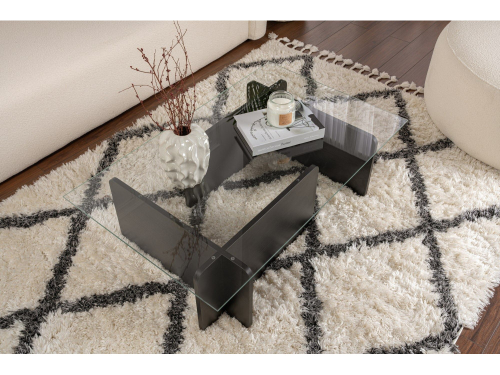 Couchtisch aus Glas "Flavio" 105 x 65 x 30 cm - Holz Schwarz