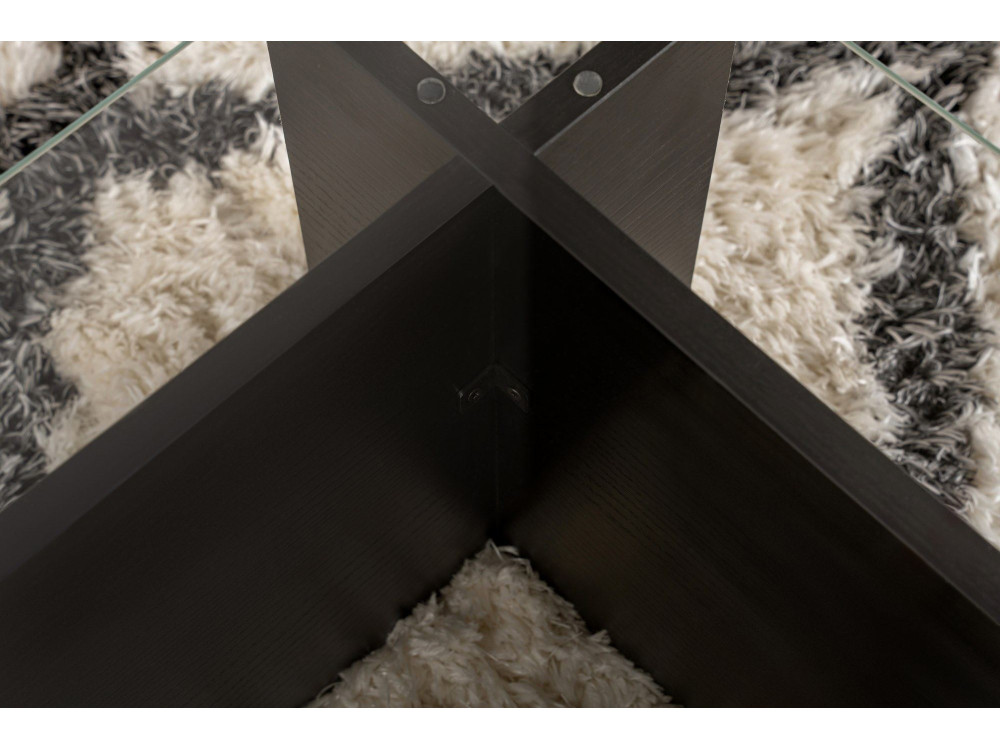 Couchtisch aus Glas "Flavio" 105 x 65 x 30 cm - Holz Schwarz