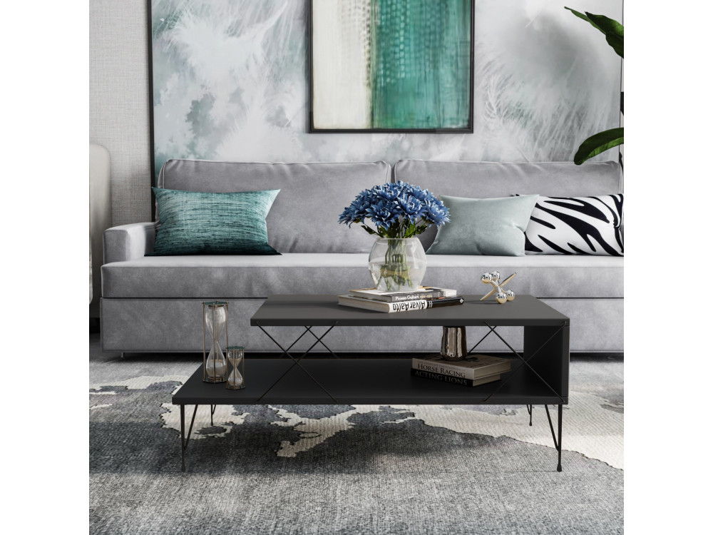 Couchtisch aus Holz "Loire" 100 x 50 x 40 cm - Anthrazit