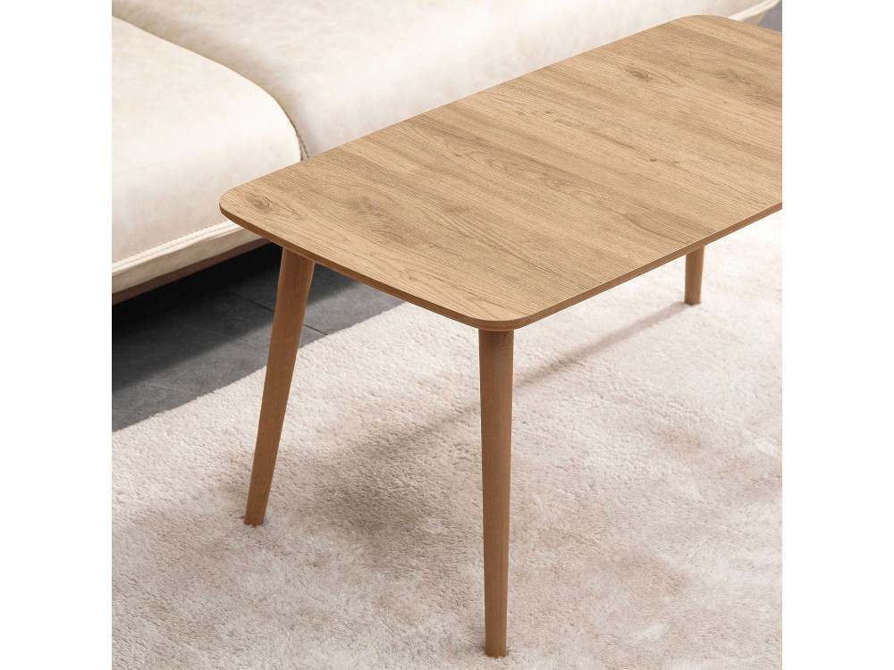 Couchtisch aus Holz "Luci" 100 x 53 x 45 cm - Eiche
