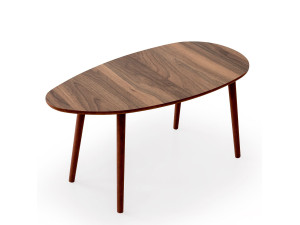 Holz Couchtisch "Nora" 100 x 50 x 45 cm - Nussbaum