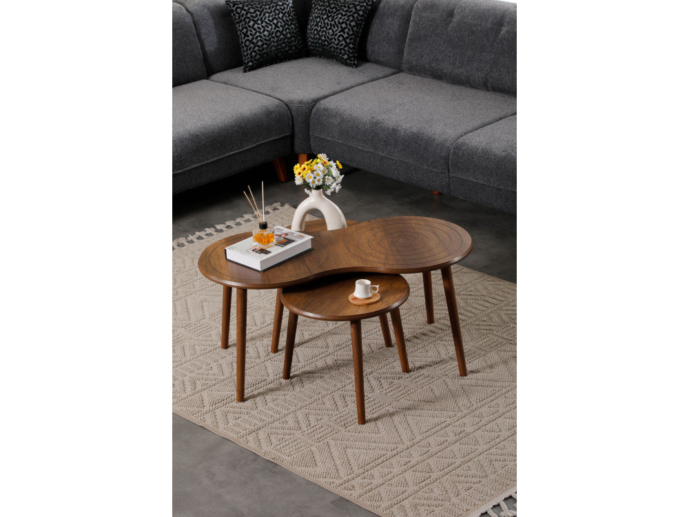 Couchtisch-Set aus Holz "Marlo" 100 x 50 x 45 cm - Walnussholz