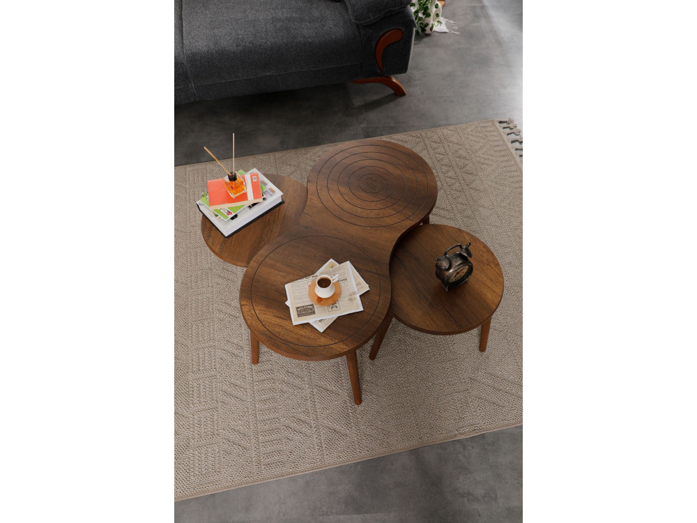 Couchtisch-Set aus Holz "Marlo" 100 x 50 x 45 cm - Walnussholz