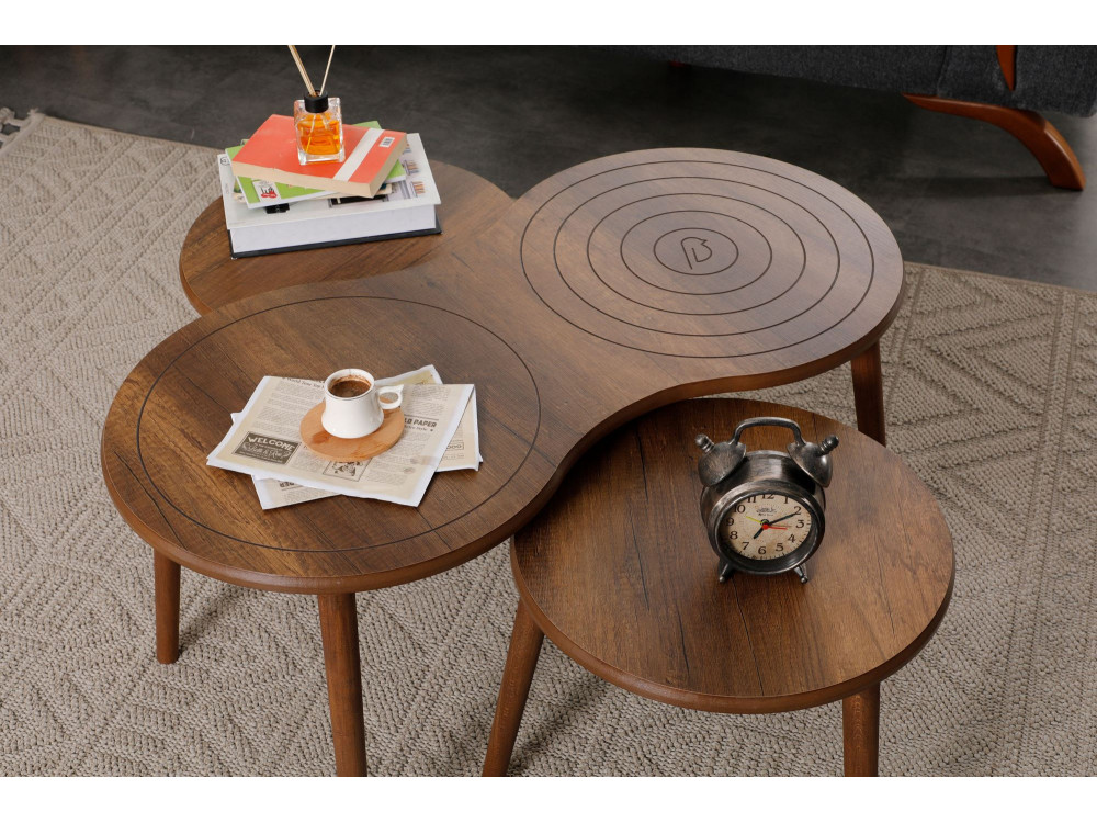 Couchtisch-Set aus Holz "Marlo" 100 x 50 x 45 cm - Walnussholz