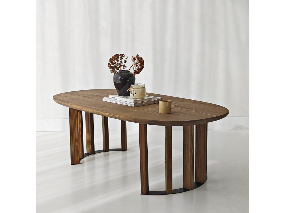 Couchtisch aus Holz "Elysia" - 120 x 60 x 40 cm - Braun