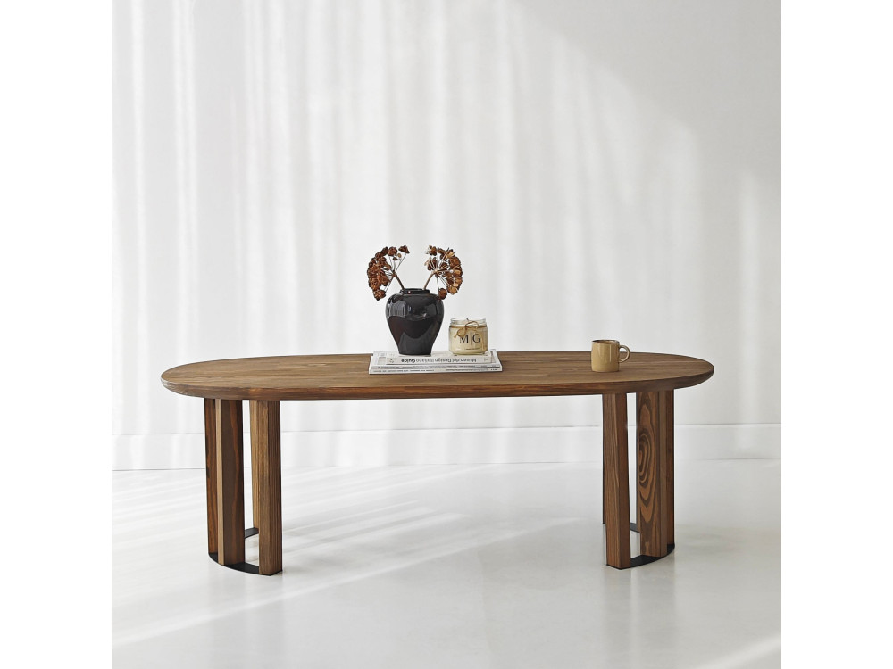 Couchtisch aus Holz "Elysia" - 120 x 60 x 40 cm - Braun