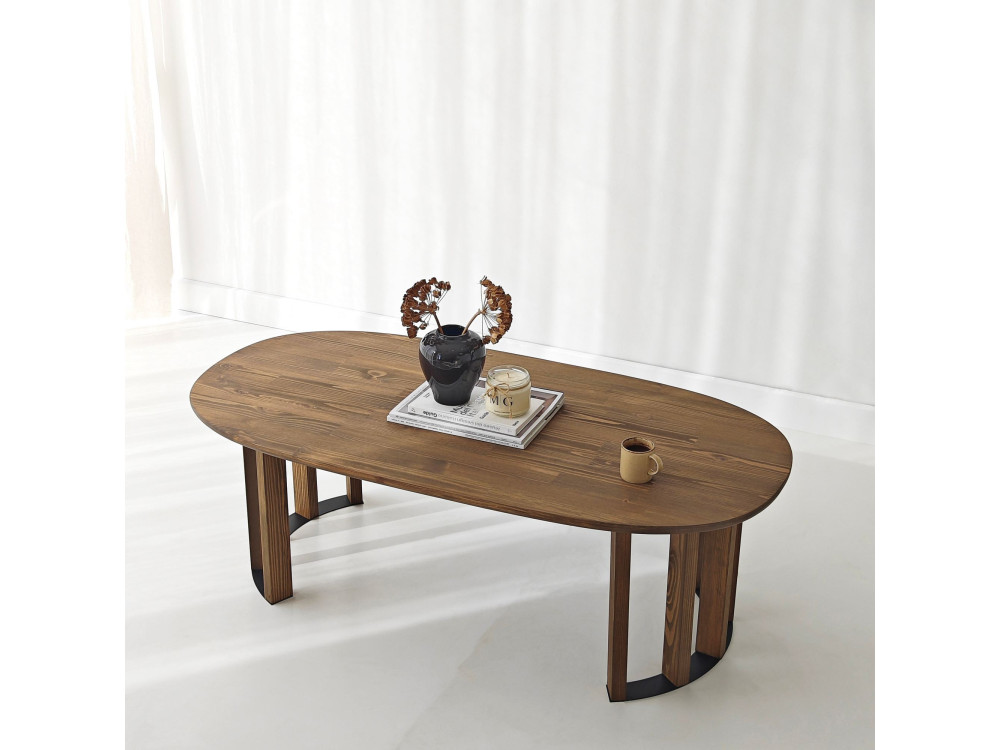 Couchtisch aus Holz "Elysia" - 120 x 60 x 40 cm - Braun