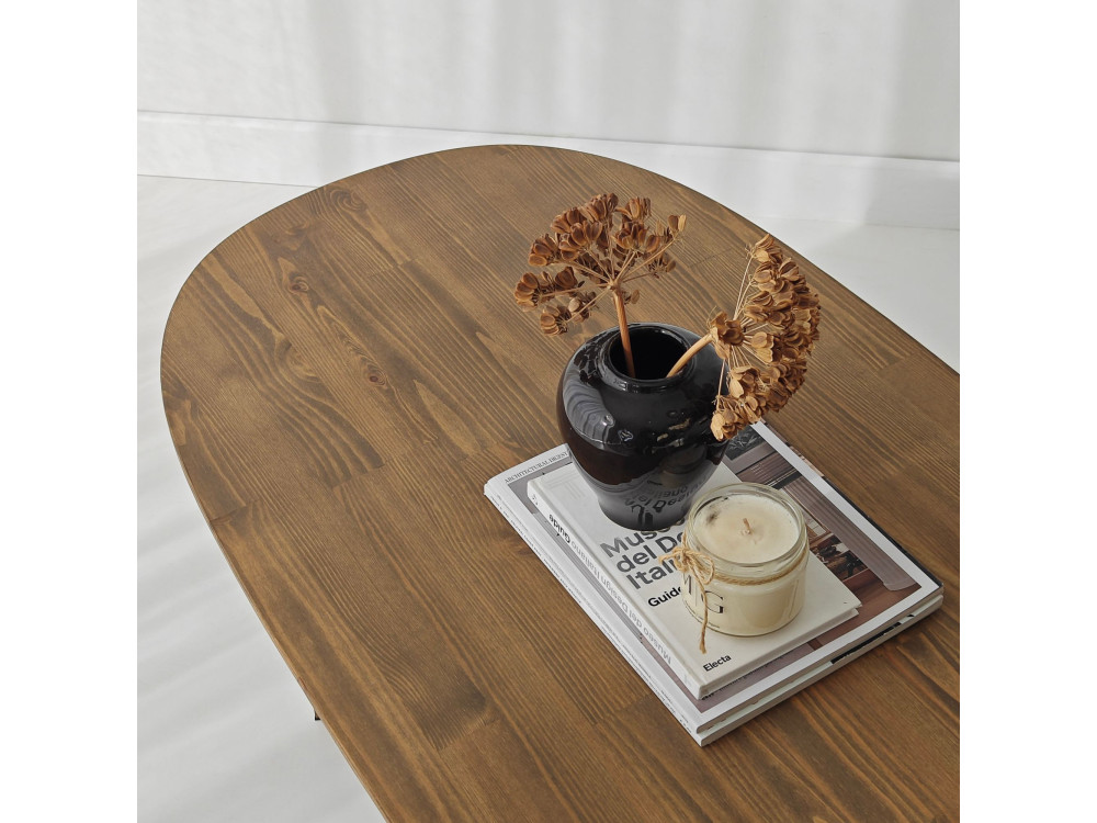 Couchtisch aus Holz "Elysia" - 120 x 60 x 40 cm - Braun