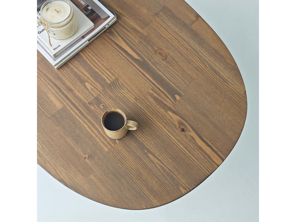 Couchtisch aus Holz "Elysia" - 120 x 60 x 40 cm - Braun