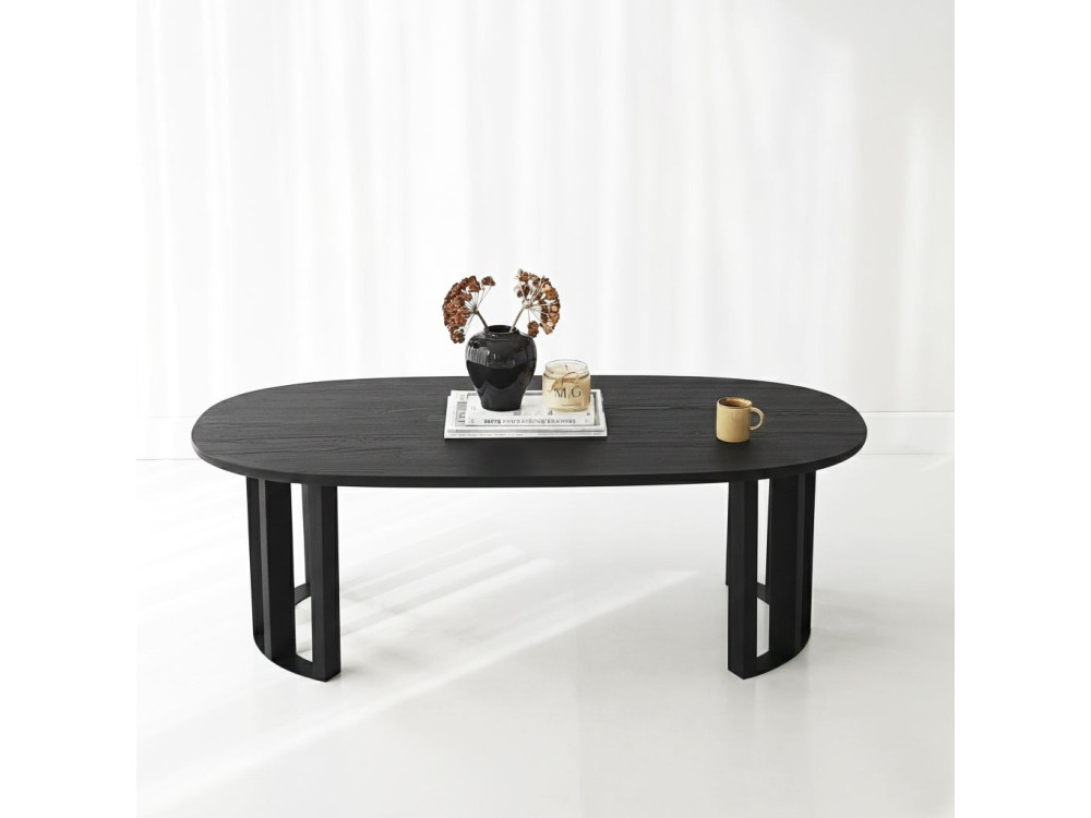 Couchtisch aus Holz "Elysia" - 120 x 60 x 40 cm - Schwarz