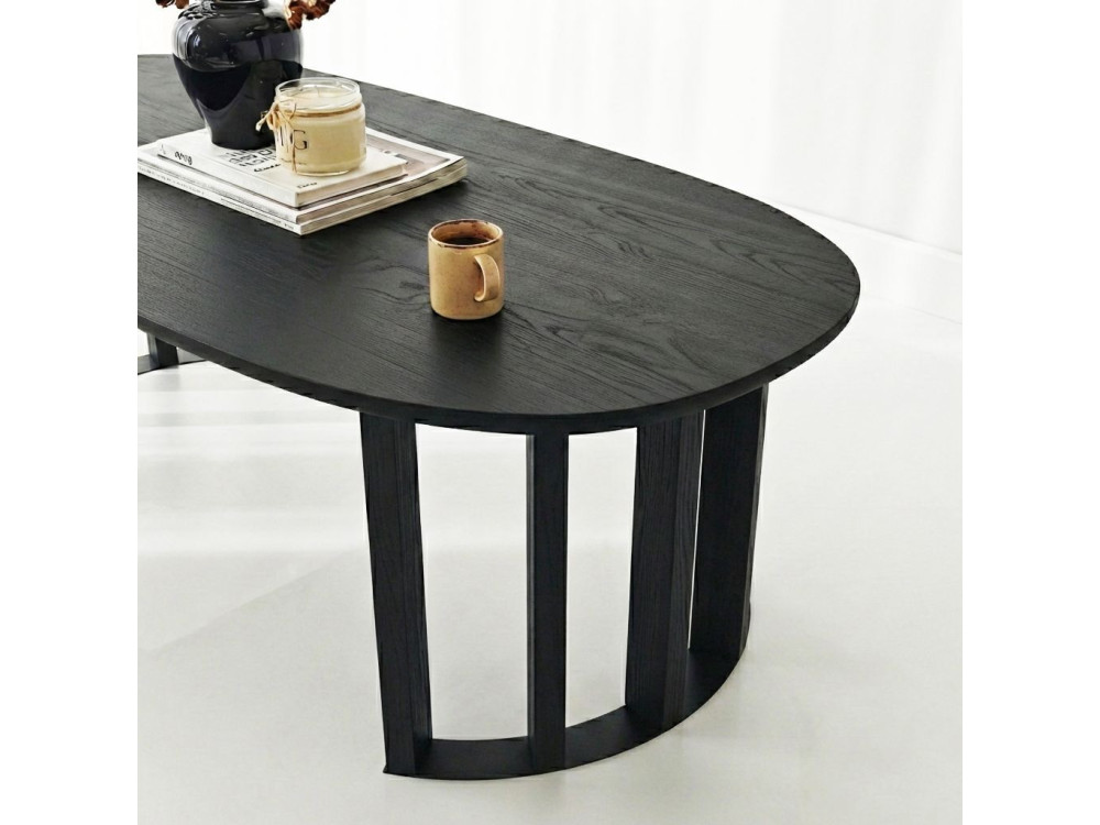 Couchtisch aus Holz "Elysia" - 120 x 60 x 40 cm - Schwarz