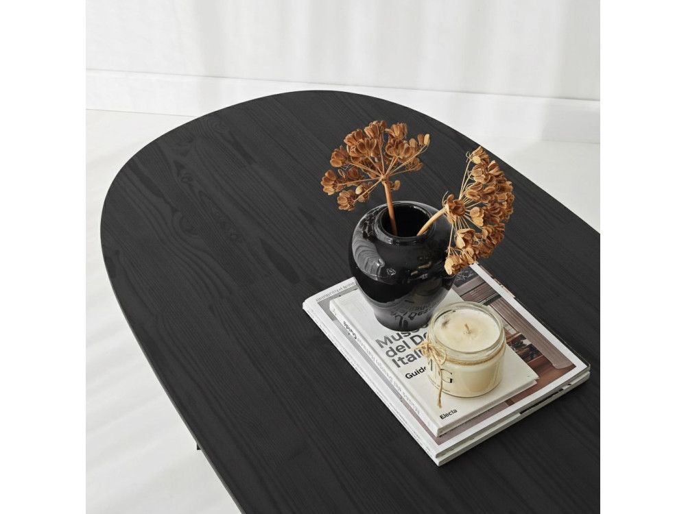 Couchtisch aus Holz "Elysia" - 120 x 60 x 40 cm - Schwarz