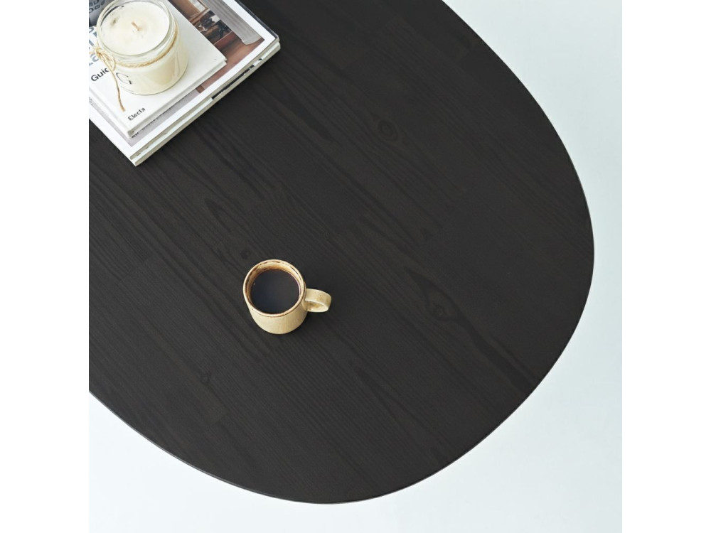 Couchtisch aus Holz "Elysia" - 120 x 60 x 40 cm - Schwarz