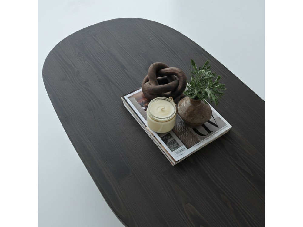 Couchtisch aus Holz "Hudson" - 120 x 60 x 40 cm - Anthrazitgrau