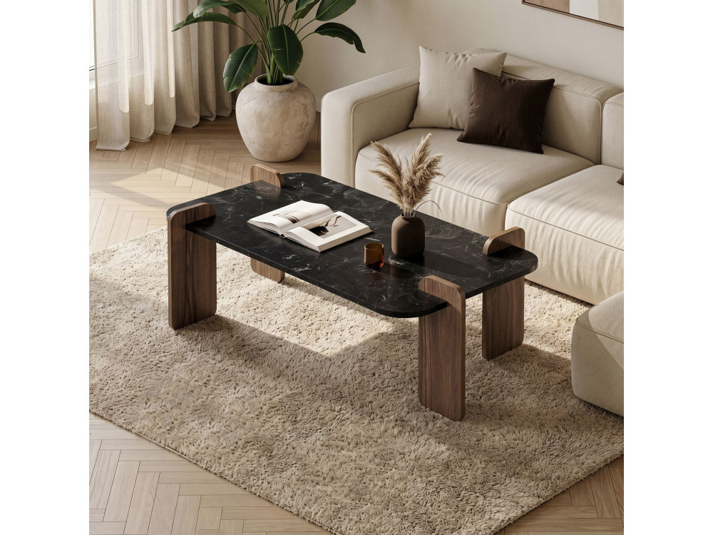 Couchtisch aus Holz "Fuchs" - 120 x 60 x 35 cm - Schwarz