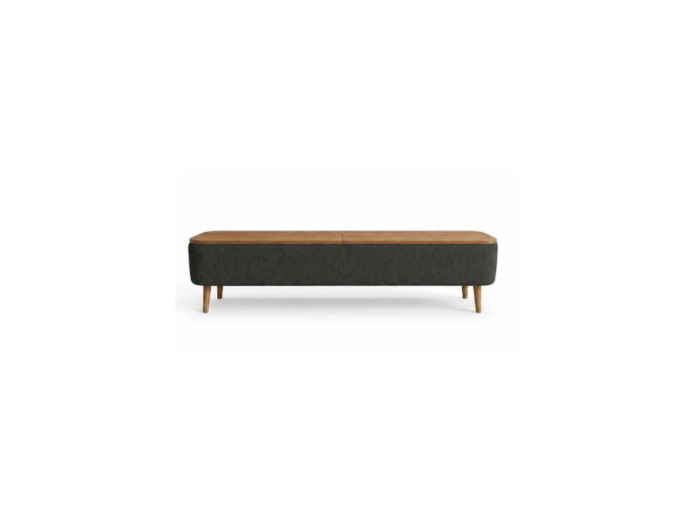 TV-Möbel aus Holz „Sarven“ – 120 x 30 x 45 cm – Anthrazit