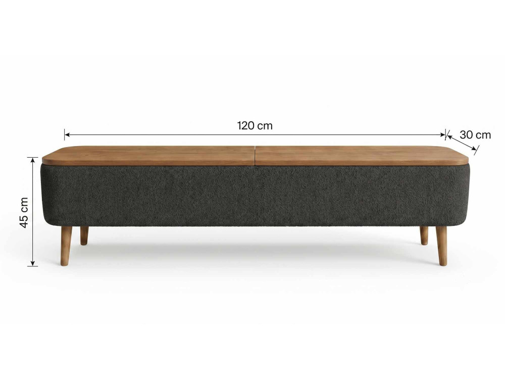 TV-Möbel aus Holz „Sarven“ – 120 x 30 x 45 cm – Anthrazit