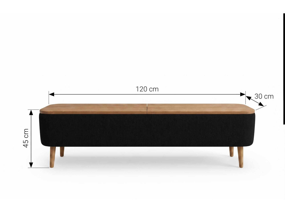 TV-Möbel aus Holz „Sarven“ – 120 x 30 x 45 cm – Schwarz