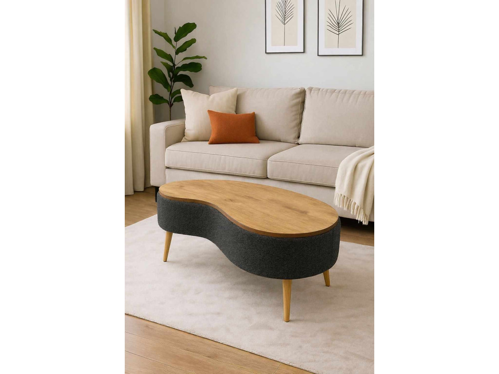 Holz-Couchtisch „Vera“ – 98 x 50 x 45 cm – Anthrazit