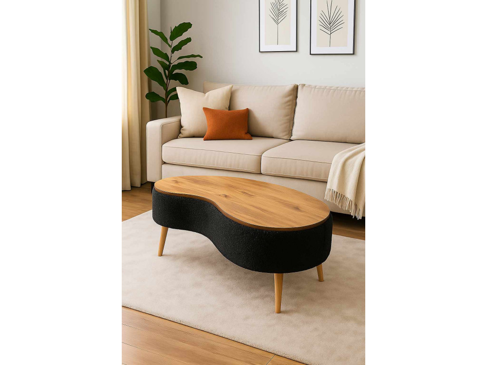 Holz-Couchtisch „Vera“ – 98 x 50 x 45 cm – Schwarz