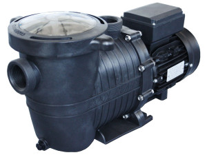 Selbstansaugende Pumpe 1,5 PS mit Vorfilter - 21.6 m3/h