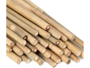 Set mit 15 Bambus-Leisten für die Sukkah, Länge 15 x 110 cm