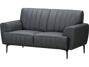 Sofa aus rekonstituiertem Leder "Bosley" - 162 x 89 x 85 cm - 2-Sitze - Grau