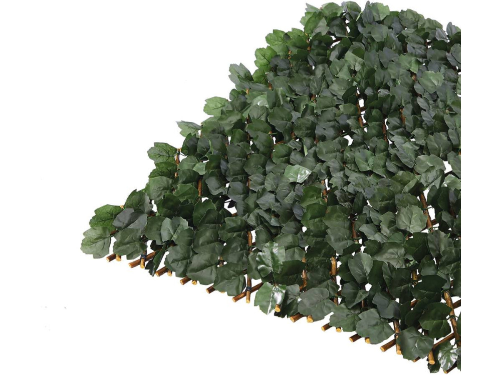 Weidengeflechtzaun "Fragon" - 200 x 100 cm - Grün