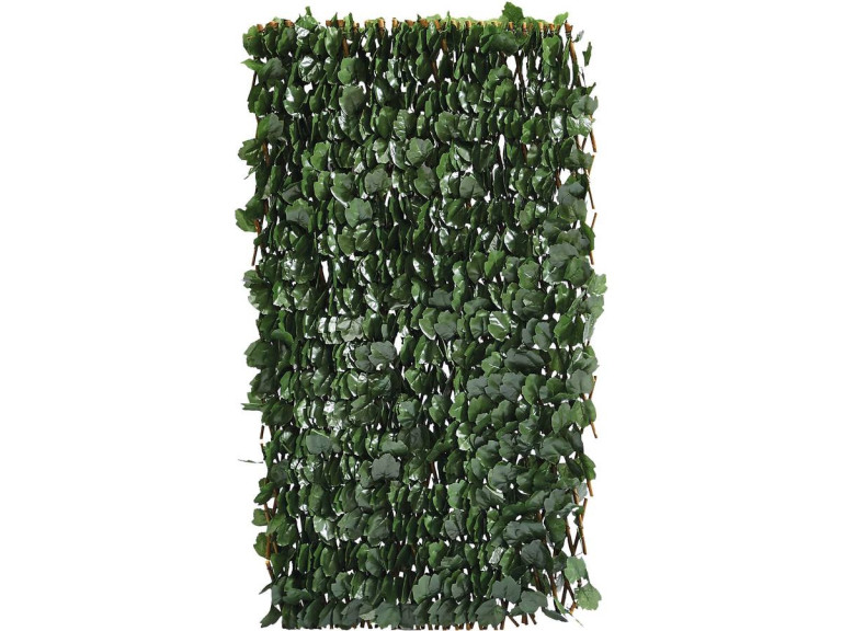 Weidenspalier-Zaun "Fragon" - 200 x 100 cm - Grün