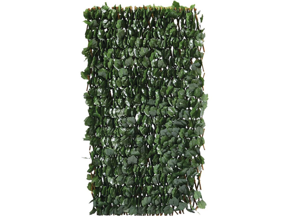 Weidenspalier-Zaun "Fragon" - 200 x 100 cm - Grün