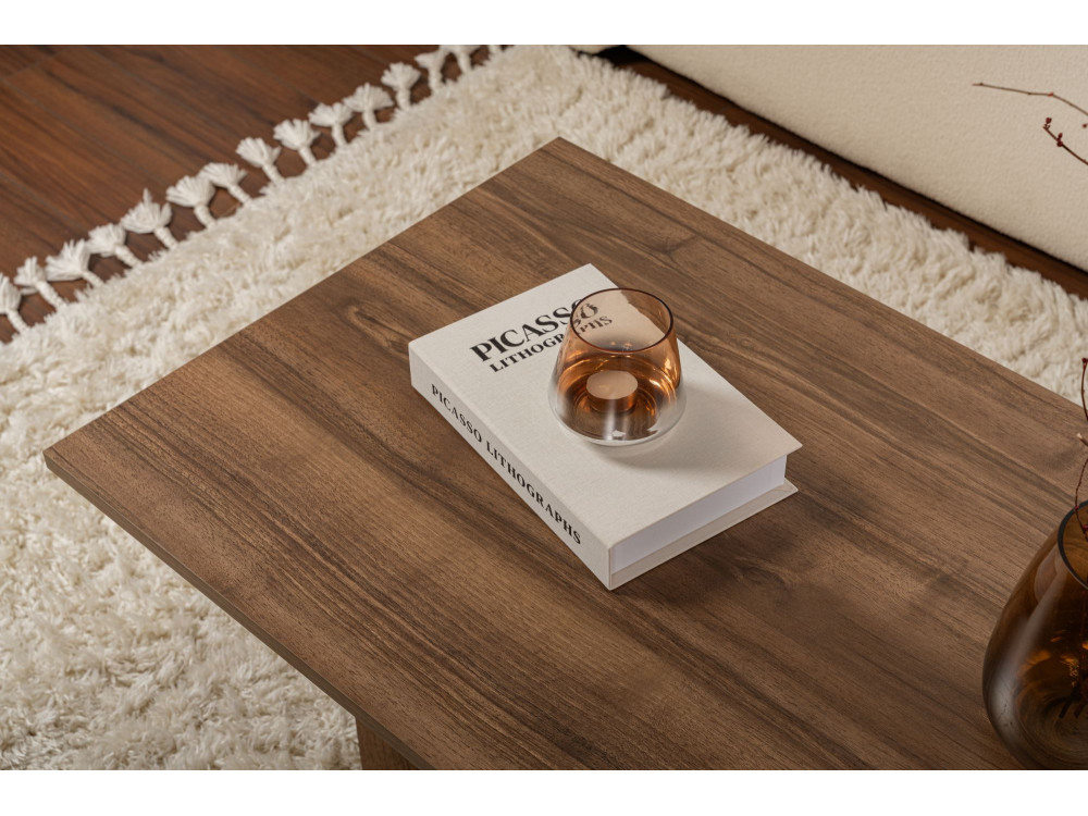 Couchtisch aus Holz „Sabin” – 60 x 119 x 40 cm – Nussbaum