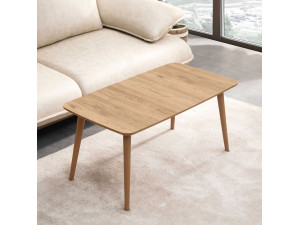 Couchtisch aus Holz "Luci" 100 x 53 x 45 cm - Eiche 2