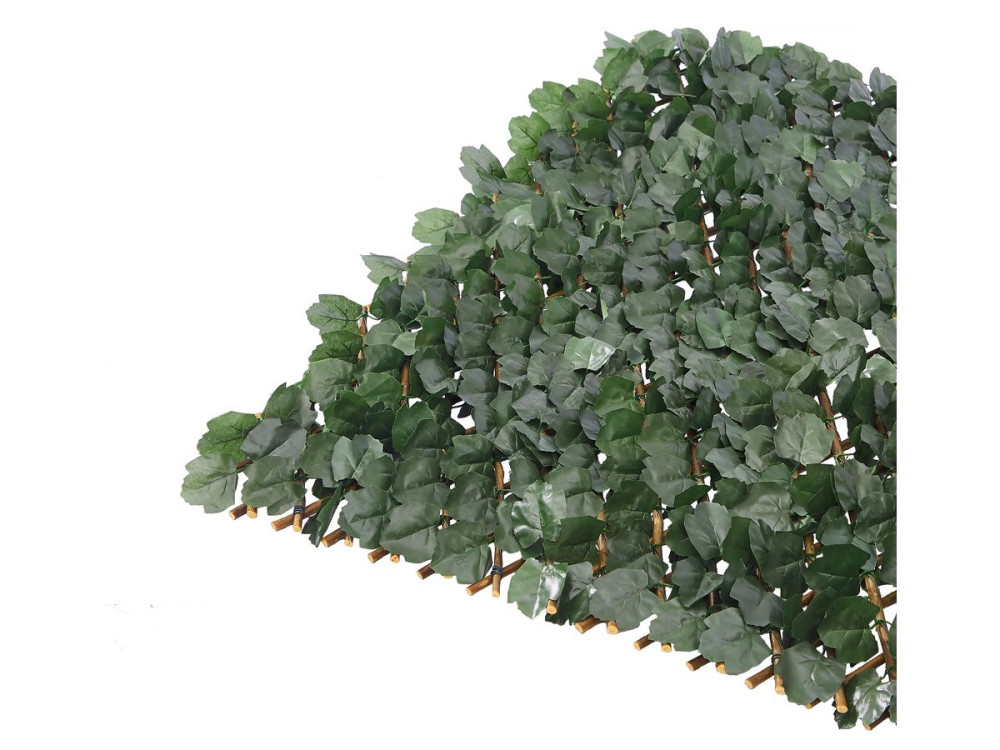 Weidenspalier-Zaun 6er-Set "Fragon" - 200 x 100 cm - Grün